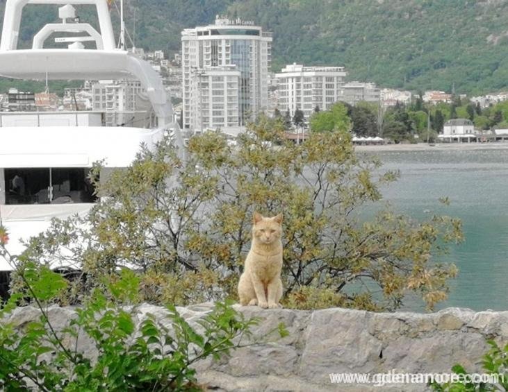 Pogled  2_